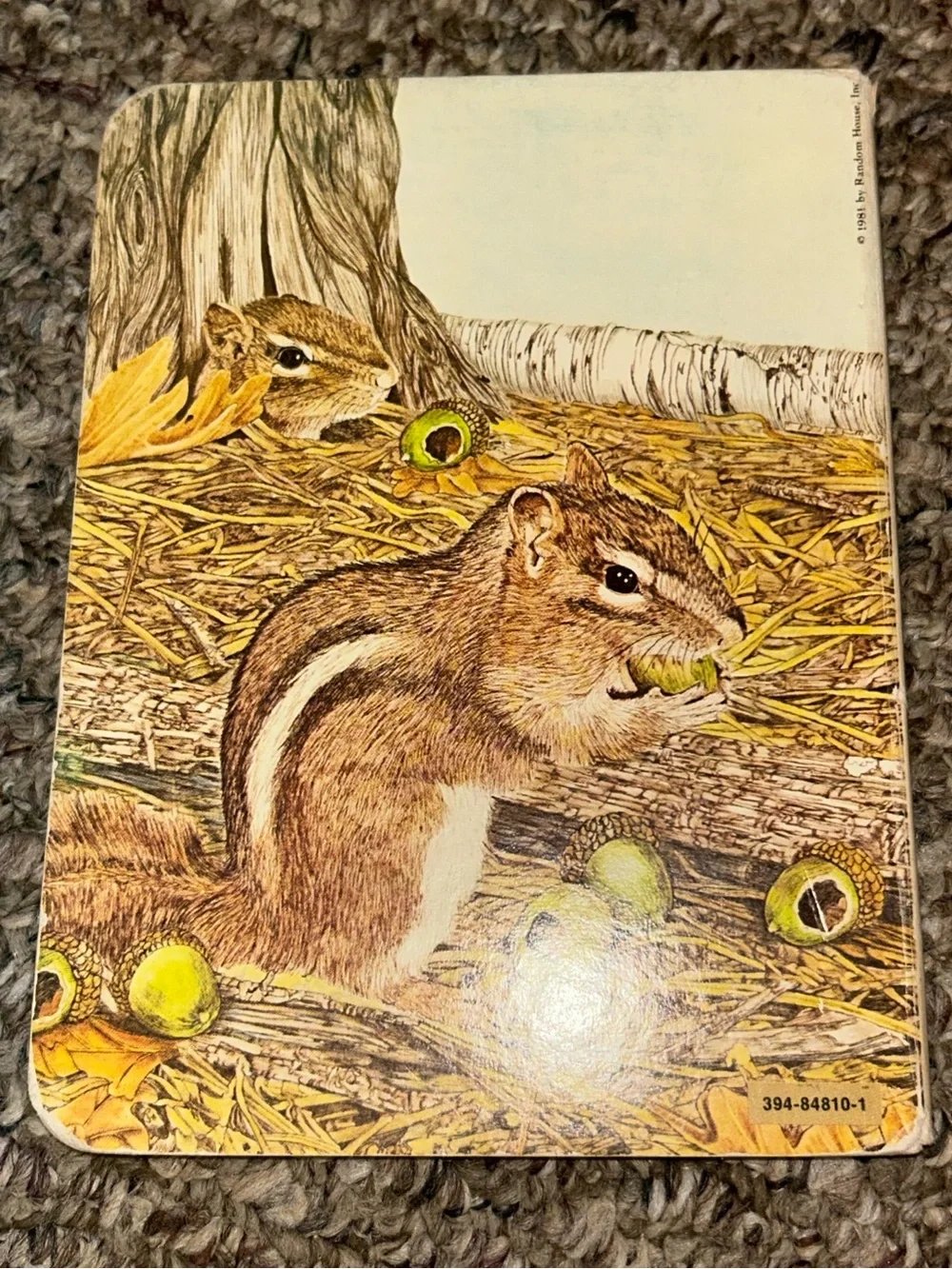 Animals In The Woods By Michele Chopin Roosevelt, Hardcover, 1981